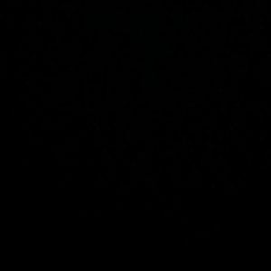 Meet your Posher, Hugo